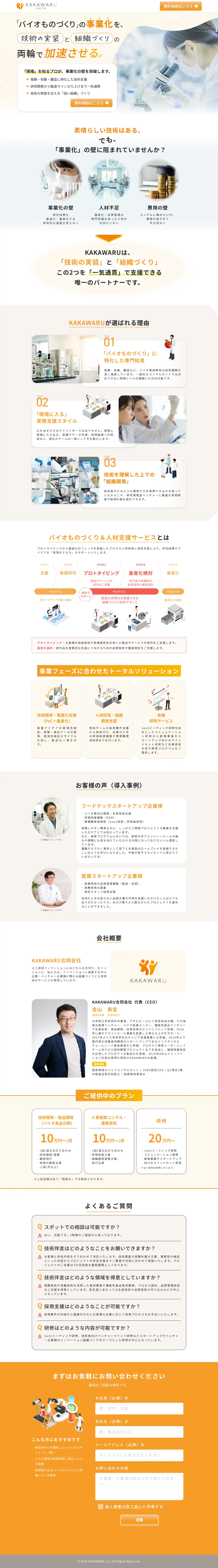 LP画像